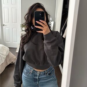 Aritzia Cozy Fleece Sweatfleece Perfect Crop Hoodie (Vintage Black)
